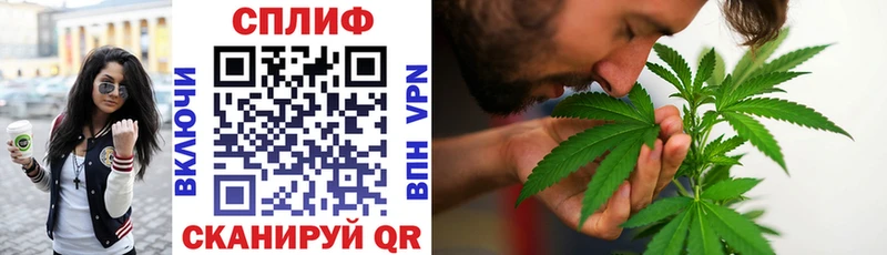 Конопля ГИДРОПОН  Купить где  Углич 